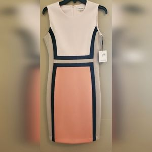 NWT Calvin Klein Sheath Dress, Women's size 6